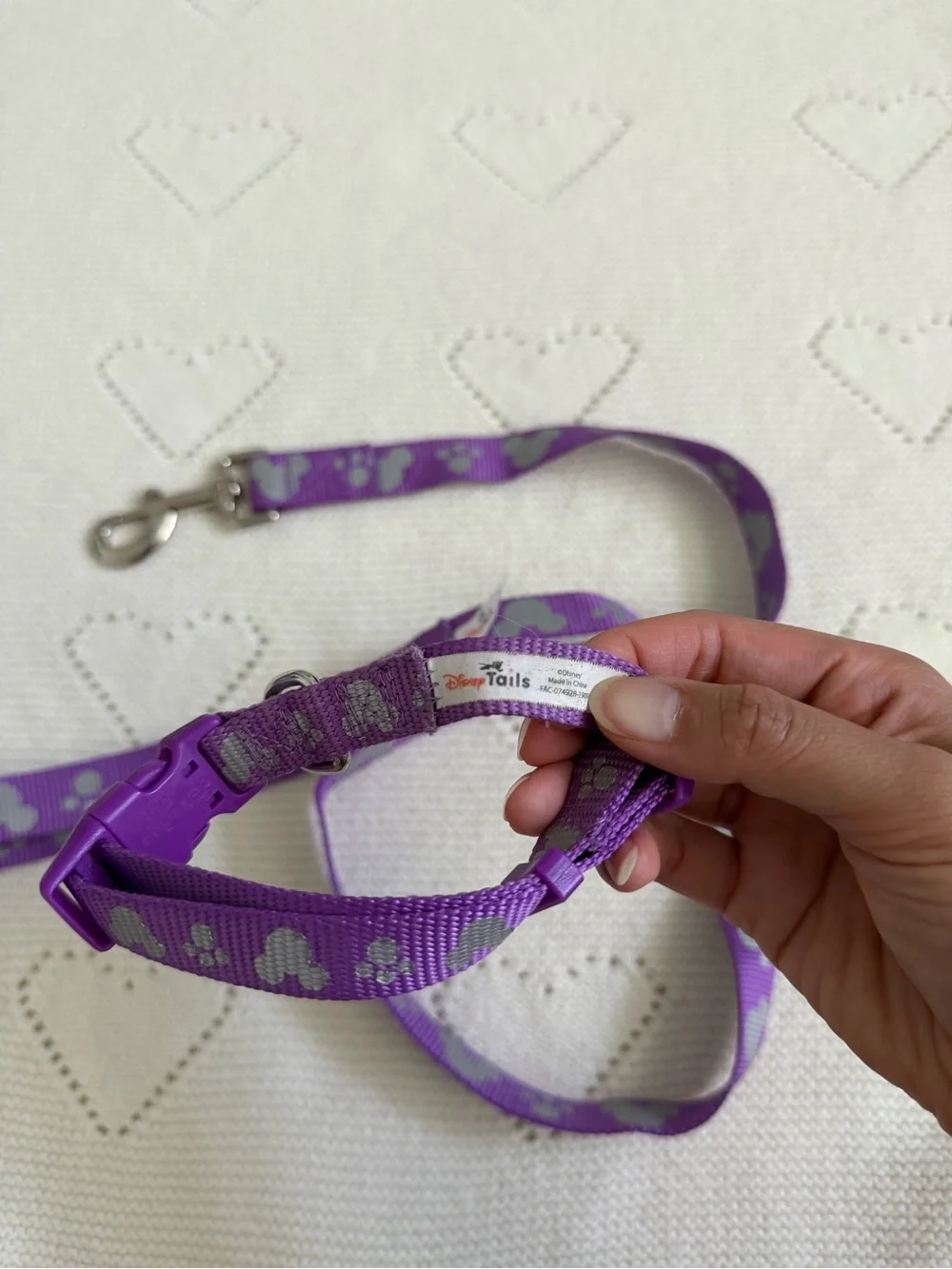 Disney parks purple